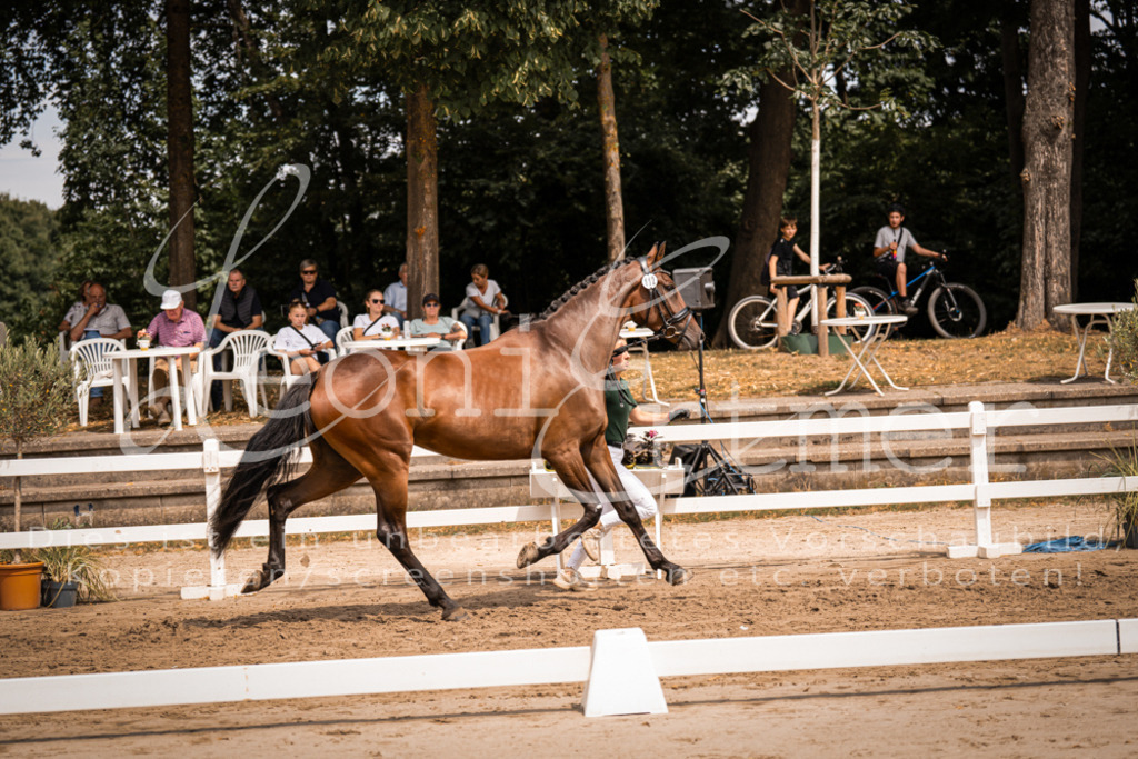 3.Fr00099 | Leoni Ertmer Photography - Realisiert mit Pictrs.com