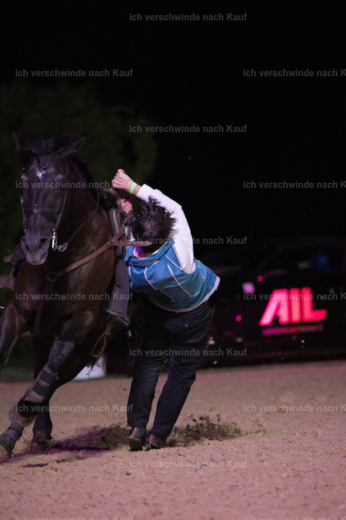 Gala-652 | working equitationturnier fotograf videograf stoibphotography marixx film working equitation deutschland reitsport turnierfotografie eventfotografie equestrian events