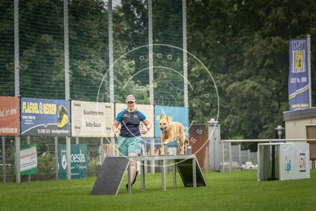 Pfotenfotografie_DV3A5416 | Hundefotografie, Tierfotograf, Pfotenfotografie, Fotoshooting Hund, Hunde Portrait, Hundesport, Hundeportraits, Heideshooting, Hunde, Sportfotograf, Hundefotograf, Turnierhundsport, THS,  - Realisiert mit Pictrs.com