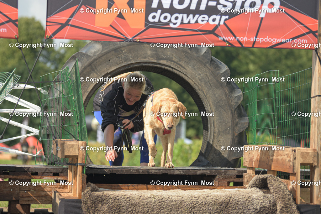 DSC_0903 | Hallo und herzlich Willkommen auf meiner Shop-Seite Fynn Most.

Ich wünsche Dir viel Spaß beim stöbern durch die Bilder, wenn Du Fragen hast oder Bilder vermisst, kannst du mir gerne eine Nachricht schreiben. - Realisiert mit Pictrs.com