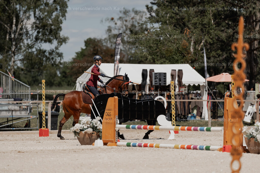 WE_ST_Stoib_343_PI2025_1305 | Pferd International München 2025