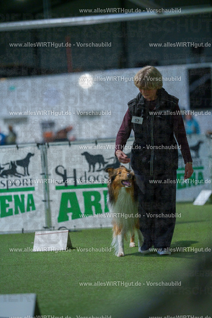 7R502066 | Professionelle Tierfotografie in Mönchengladbach von Daniel Wirth (allesWIRTHgut). Liebevolle & natürliche Bilder von Hunden & Katzen für unvergessliche Erinnerungen.