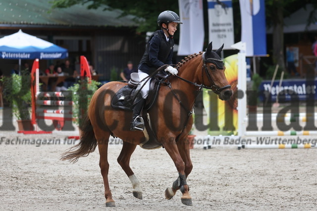 Ichenheim_2024_Prfg.Nr.26_Stilspring-WB_60cm_Samuel Weingärtner_Henriette PCM (9) | Alle Fotos der Reiterjournal Fotografin Doris Matthaes im Reiterjournal Online-Fotoshop. - Realisiert mit Pictrs.com
