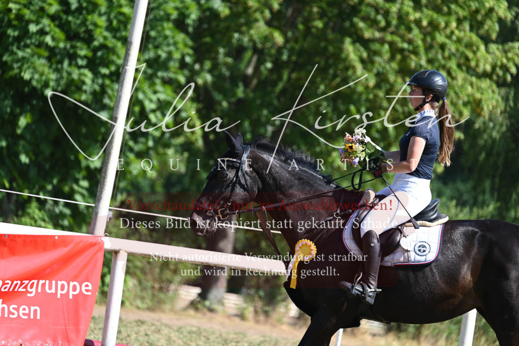 DSC_1803 | Pferde- und Turnierfotografie in Westsachsen. Pferdeportraits, Auftragszeichnungen und intuitive Kunst.