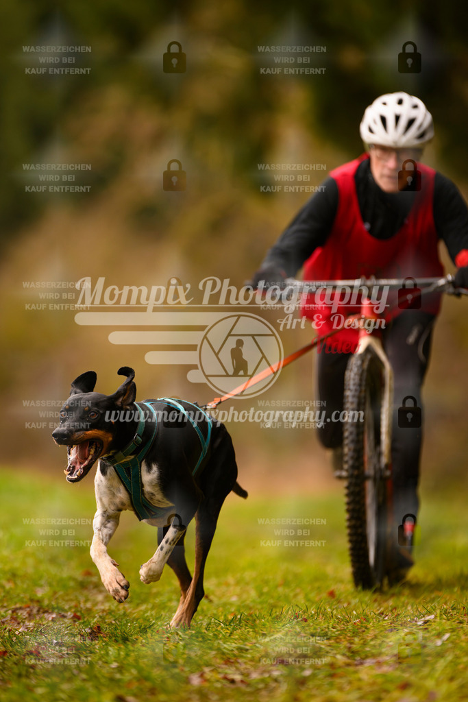 MompixPhotography_2SSTSSBW_2025_SO_Scooter-28 | PayLife