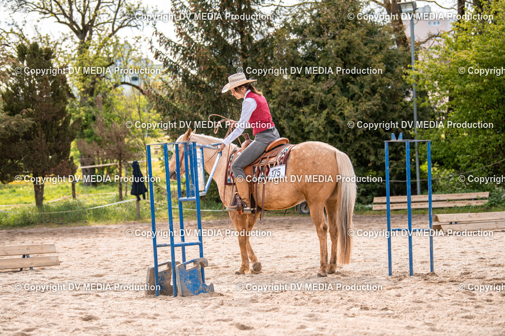 Balingen Tag 3-330 | dv-media-shop - Realisiert mit Pictrs.com