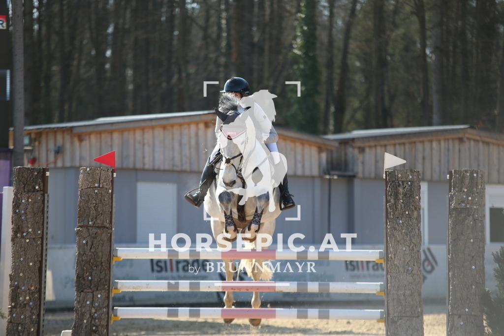 AS8V2869 | Willkommen bei Brunnmayr - Design & Fotografie – Ihrem Spezialisten für Reitturniere und Pferdeveranstaltungen in Oberösterreich, Salzburg und Bayern! Seit über 17 Jahren sind wir leidenschaftlich dabei.