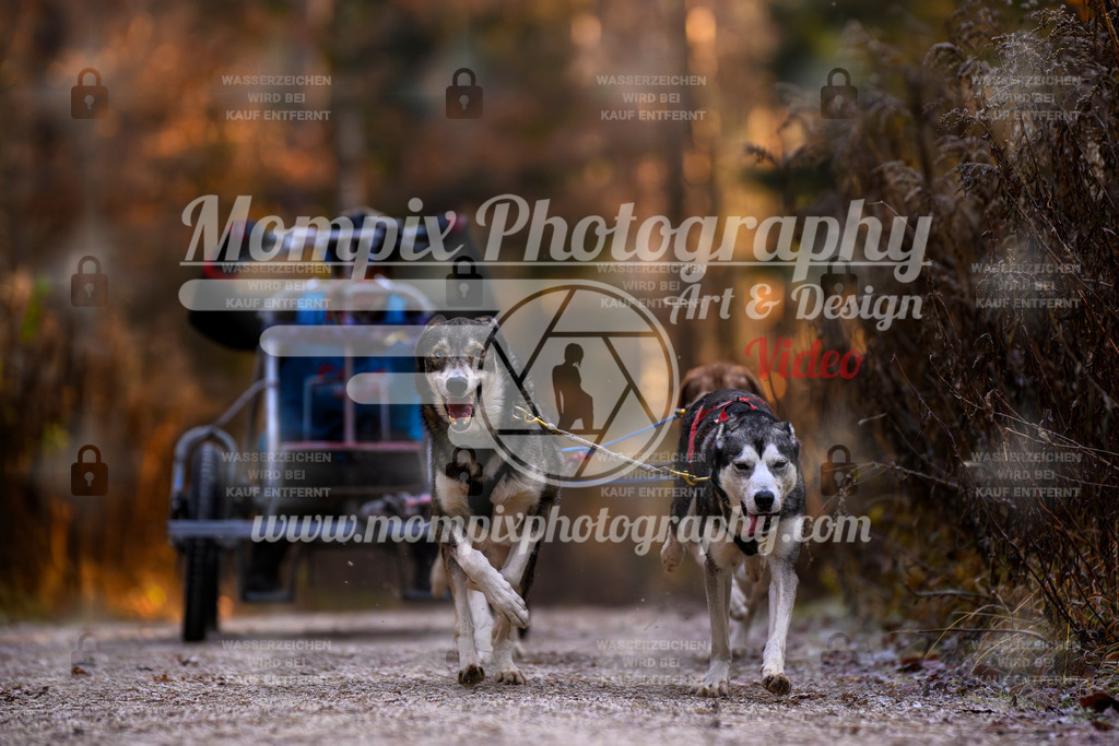 MompixPhotography_DM_AKDM_SO_2025_Wagen-62 | PayLife