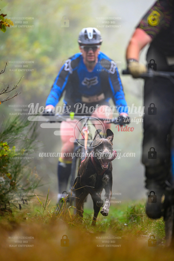 MompixPhotography_20TSB_E4_Bike-81 | PayLife