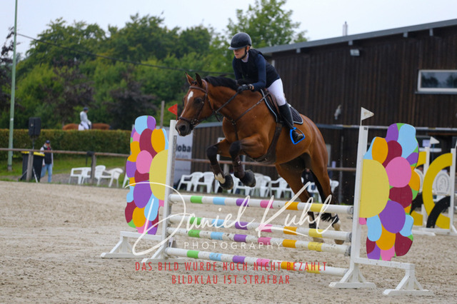 IMG_5053 | Turniersportfotografie; Pferdefotografie; Dressurfotografie