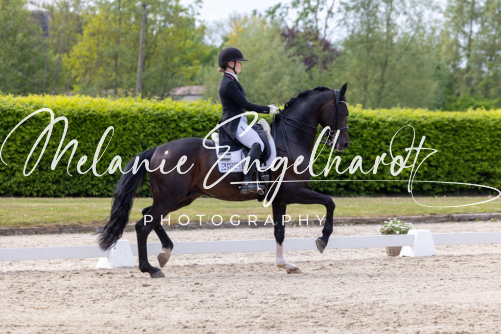 7I8A1368 | melanie-engelhardt-photography - Realisiert mit Pictrs.com