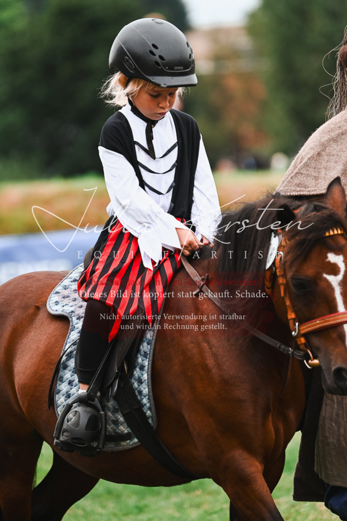 DSC_7400 | Pferde- und Turnierfotografie in Westsachsen. Pferdeportraits, Auftragszeichnungen und intuitive Kunst.