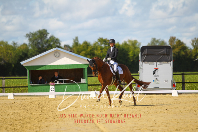 DKP44205 | Turniersportfotografie; Pferdefotografie; Dressurfotografie