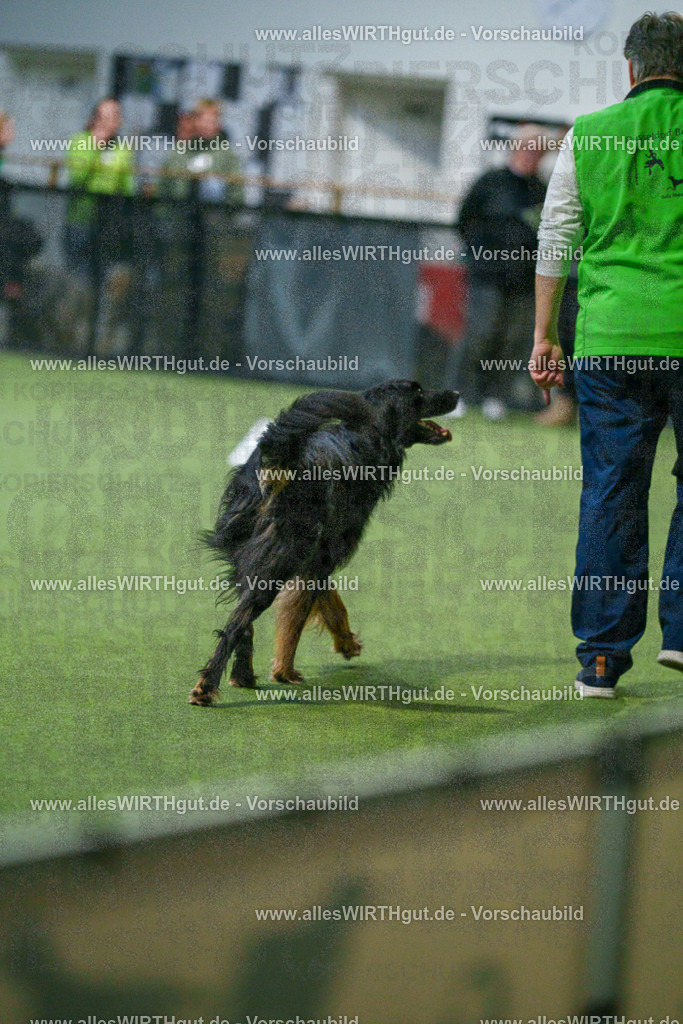 7R505366 | Professionelle Tierfotografie in Mönchengladbach von Daniel Wirth (allesWIRTHgut). Liebevolle & natürliche Bilder von Hunden & Katzen für unvergessliche Erinnerungen.