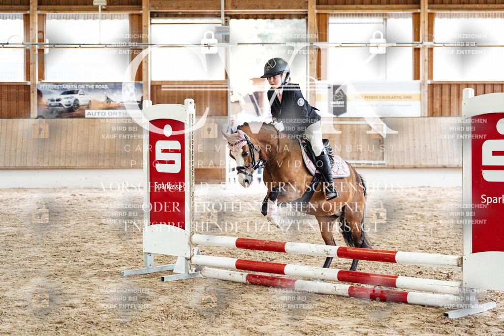 CK902805 | Turnierfotografie Pferdefotografie Trier Rheinland-Pfalz Pferdesport Reitsport Tierfotografie Sportfotografie Pferdevideo Pferdevideografie Equestrianvideography equestrianphotography  - Realisiert mit Pictrs.com