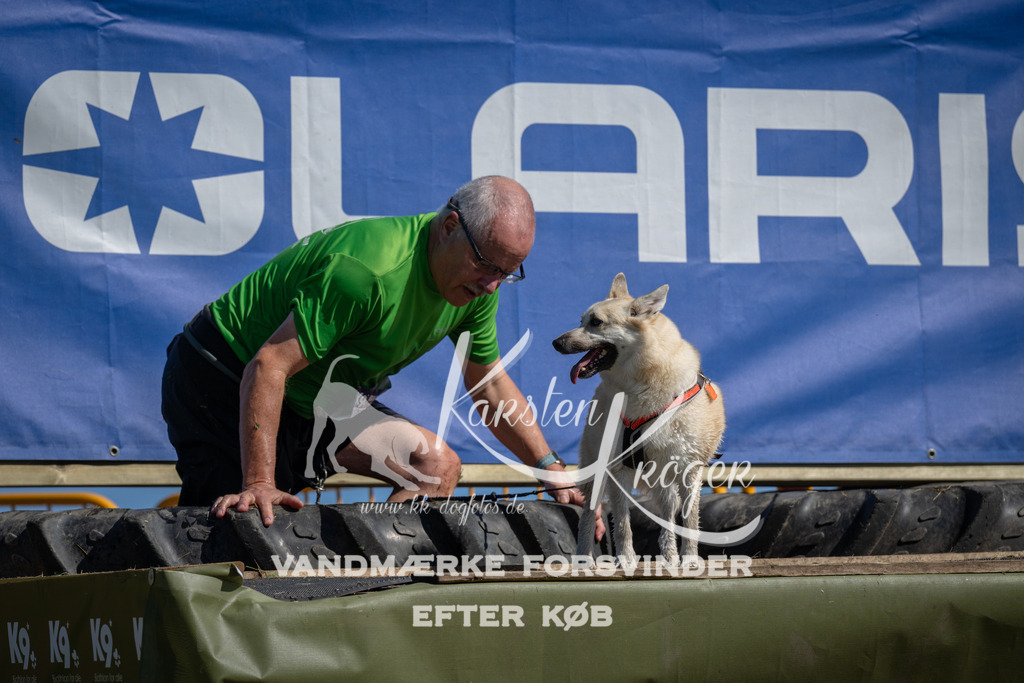 1117_ZZ91103 | kk-dogfotos