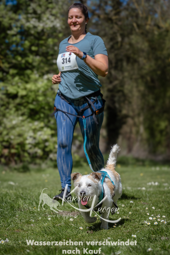 1245_ZZ94233 | kk-dogfotos