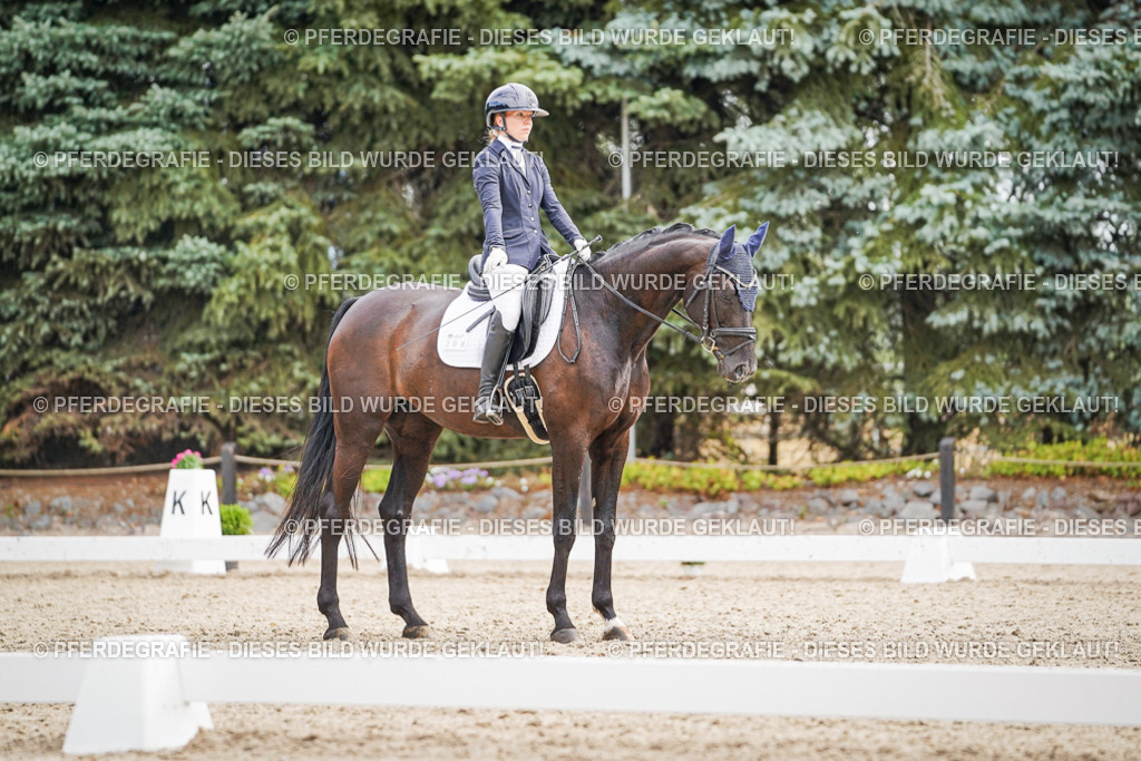 DSC01808 | Pferdegrafie