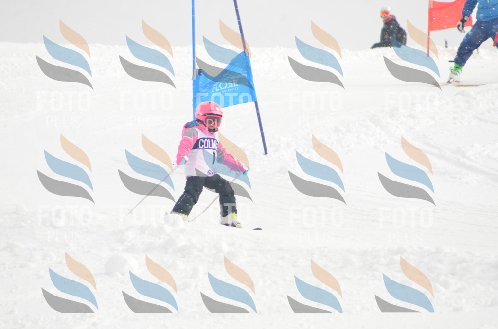 A4984 | holidayphoto