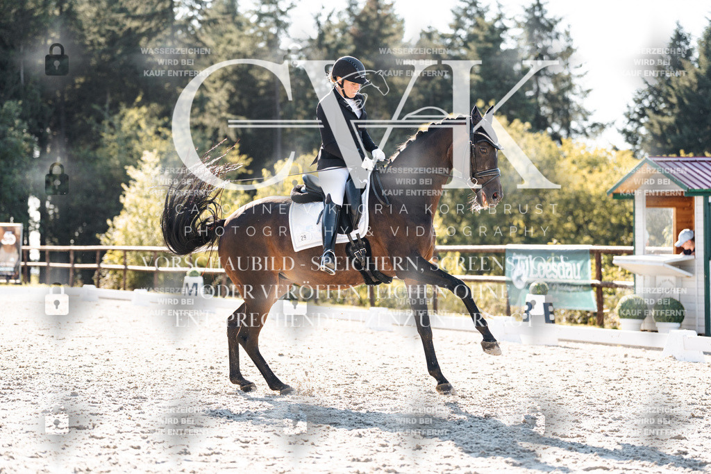 CK906393 | Turnierfotografie Pferdefotografie Trier Rheinland-Pfalz Pferdesport Reitsport Tierfotografie Sportfotografie Pferdevideo Pferdevideografie Equestrianvideography equestrianphotography  - Realisiert mit Pictrs.com