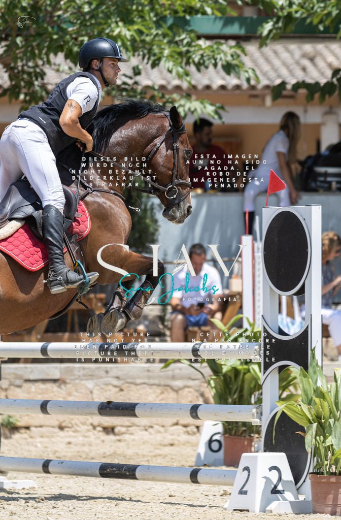 IMG_6747 | s-jay-photography - Realisiert mit Pictrs.com