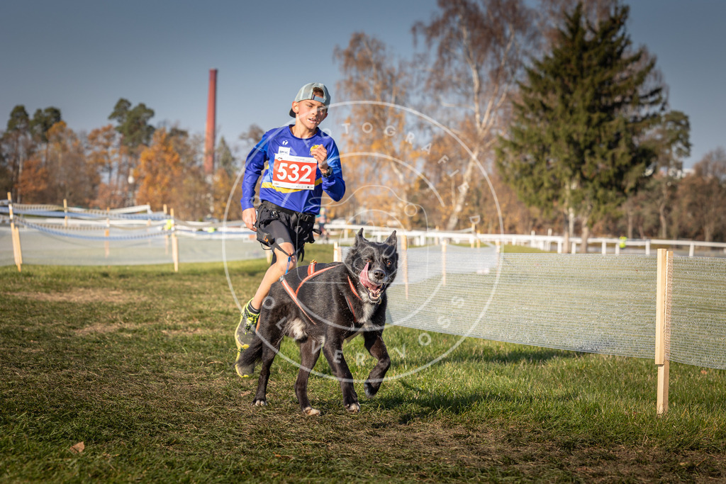 CaniXpix_0L8A8809 | Hundefotografie, Tierfotograf, Pfotenfotografie, Fotoshooting Hund, Hunde Portrait, Hundesport, Hundeportraits, Heideshooting, Hunde, Sportfotograf, Hundefotograf, Turnierhundsport, THS,  - Realisiert mit Pictrs.com