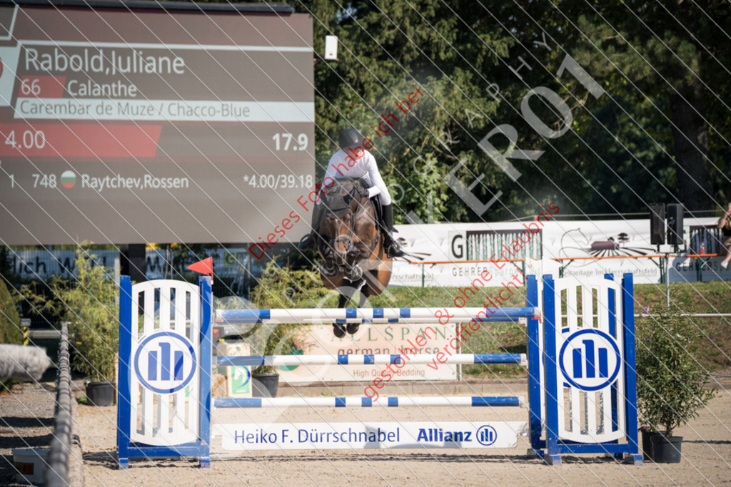 DSC_3854 | Sport-, Event- und Tierfotos in Profiqualität. Einfach auswählen, bestellen und herunterladen. Dein Moment – perfekt festgehalten.