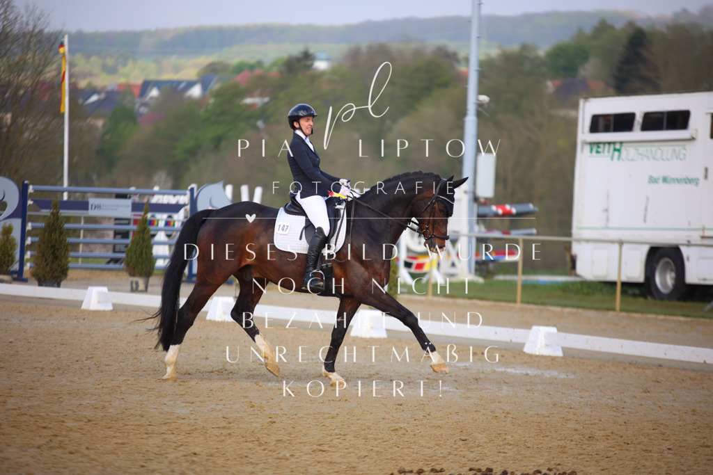 IMGT8512 | pl-fotografie