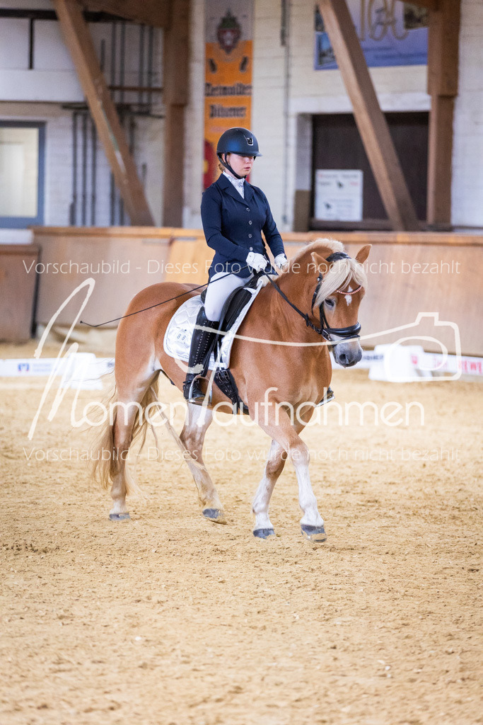 Sth-A-Dre-2St-019 | MomenTaufnahmen Pferdesportfotos