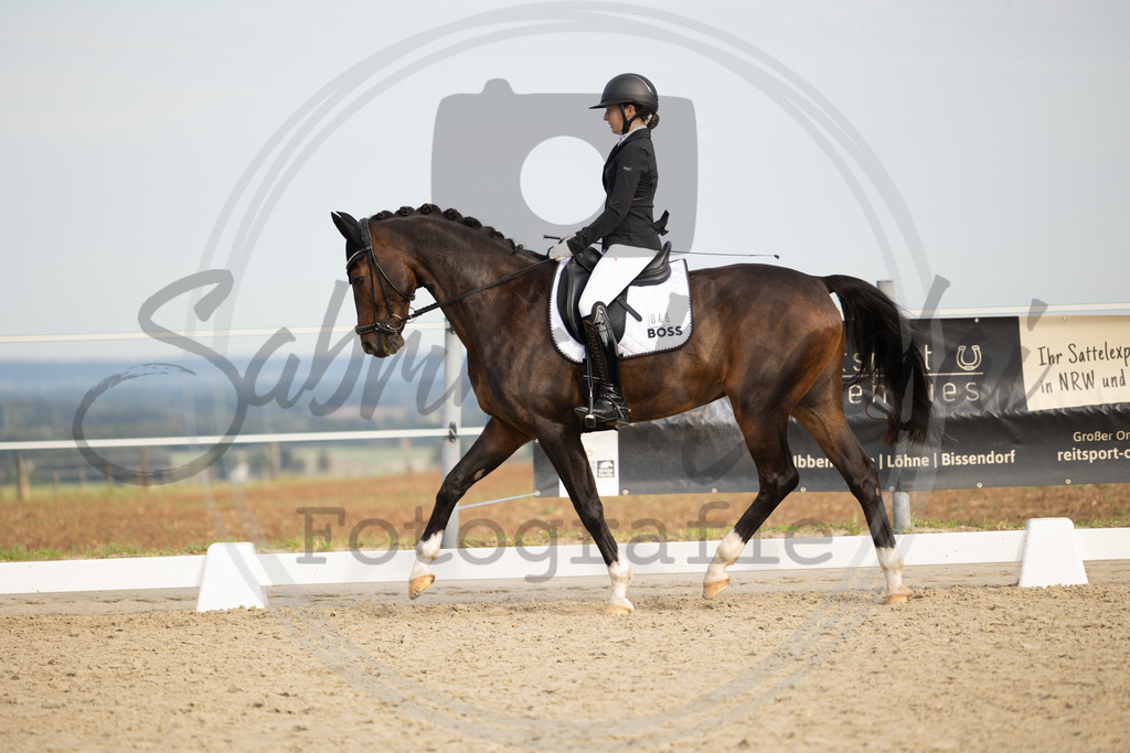 994A1119 | sabrinanicolaifotografie - Realisiert mit Pictrs.com