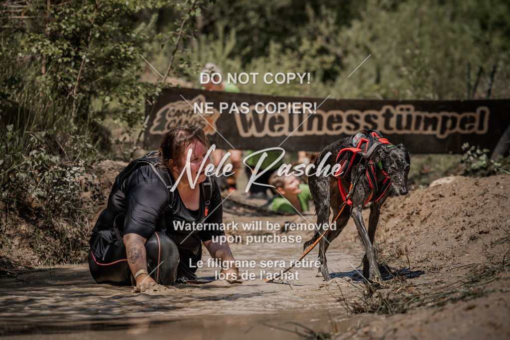 nelerasche_Hoope2026_Sa1300-1330_431 | nelerasche