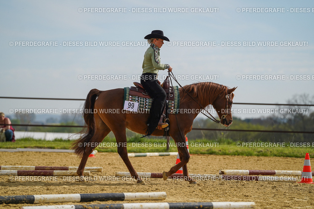 DSC01811 | Pferdegrafie