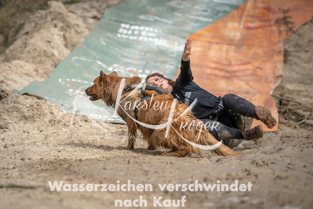 1223DSC_1461 | kk-dogfotos