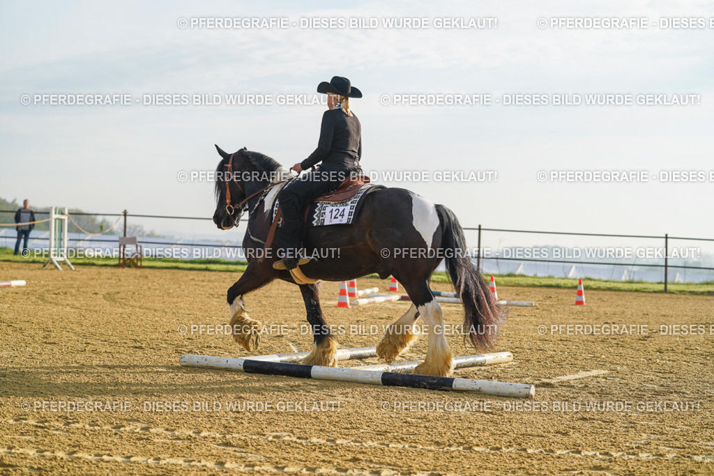 DSC09902 | Pferdegrafie