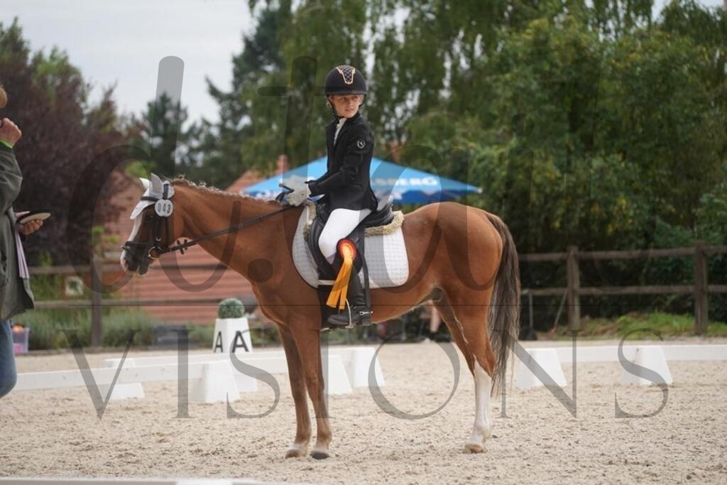 tgbhsamstag (1938) | d.tail Visions - Shop - Realisiert mit Pictrs.com