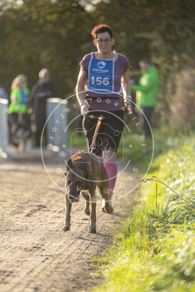 Pfotenfotografie.de_DV3A2613 | Hundefotografie, Tierfotograf, Pfotenfotografie, Fotoshooting Hund, Hunde Portrait, Hundesport, Hundeportraits, Heideshooting, Hunde, Sportfotograf, Hundefotograf, Turnierhundsport, THS, canicross - Realisiert mit Pictrs.com