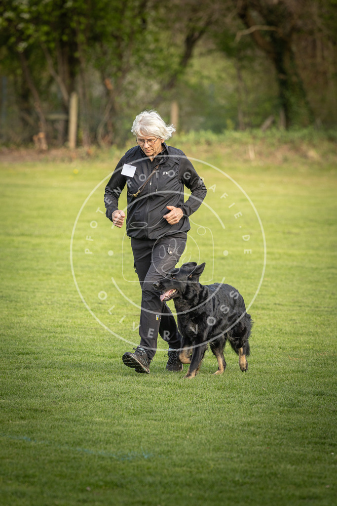 Pfotenfotografie_DV3A4860 | Hundefotografie, Tierfotograf, Pfotenfotografie, Fotoshooting Hund, Hunde Portrait, Hundesport, Hundeportraits, Heideshooting, Hunde, Sportfotograf, Hundefotograf, Turnierhundsport, THS,  - Realisiert mit Pictrs.com
