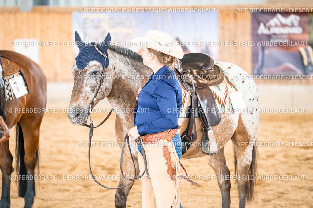 DSC01123 | Pferdegrafie