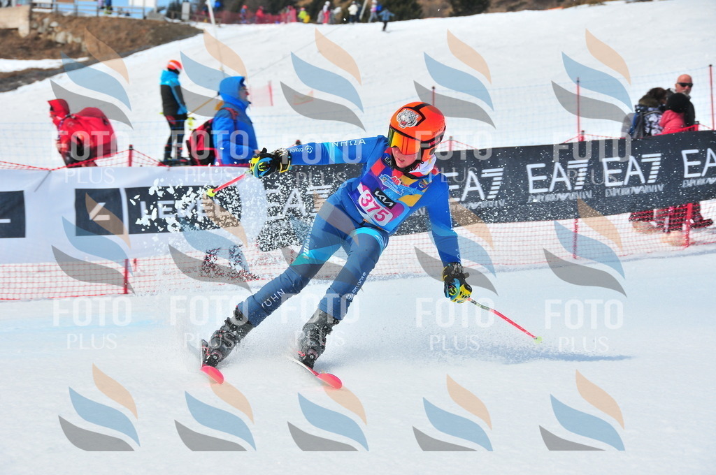 DSC_7171 | holidayphoto