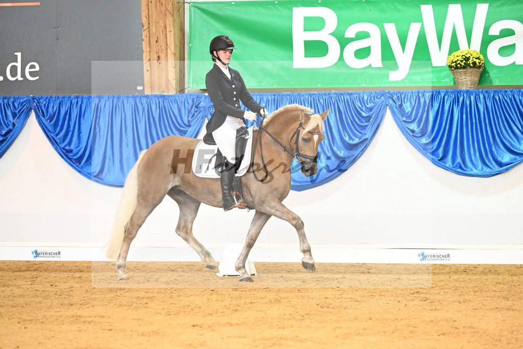 Kat-Nr. 300 Freche Biene_Koch_54221772 | hf-fotografie - Realisiert mit Pictrs.com