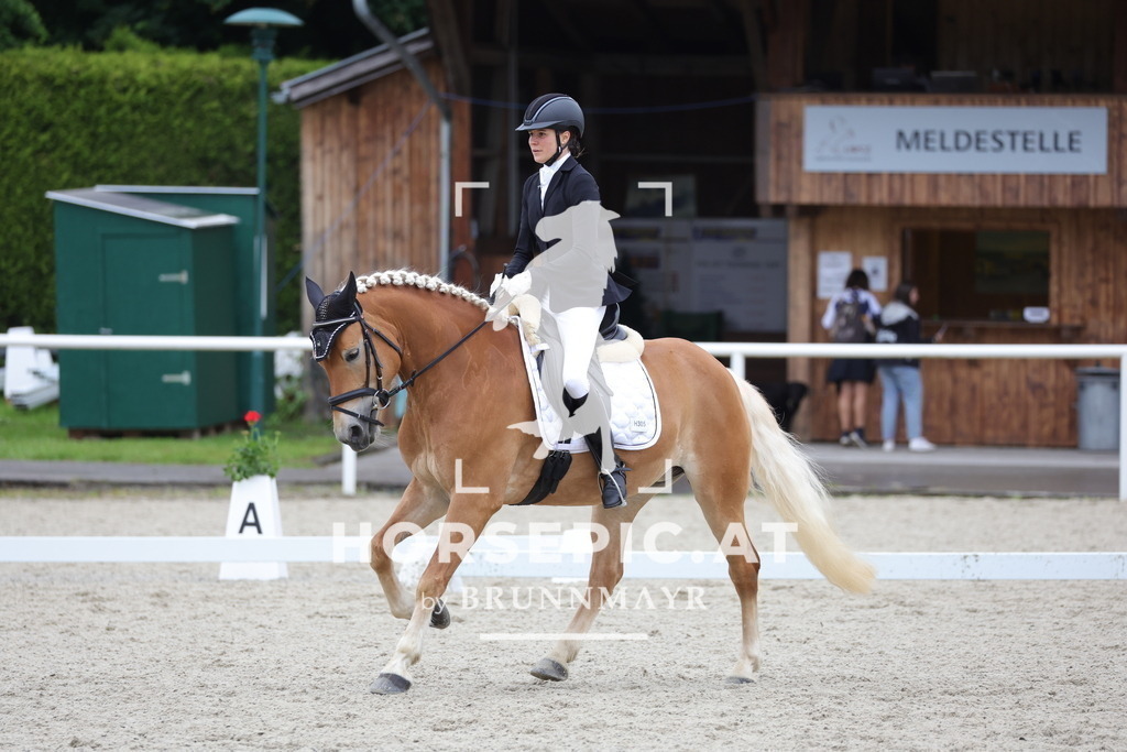 0P6A4401 | Willkommen bei Brunnmayr - Design & Fotografie – Ihrem Spezialisten für Reitturniere und Pferdeveranstaltungen in Oberösterreich, Salzburg und Bayern! Seit über 17 Jahren sind wir leidenschaftlich dabei.
