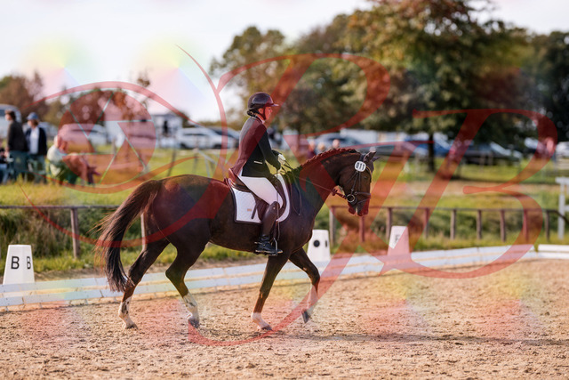 2026_10_03_Siefer-Hof_132534_Z81_76759816 | Professionelle Reitsport-, Turnier- und Eventfotografie von Robert Broda. Galerien mit ausgewählten und bearbeiteten Bildern direkt online ansehen und bestellen.