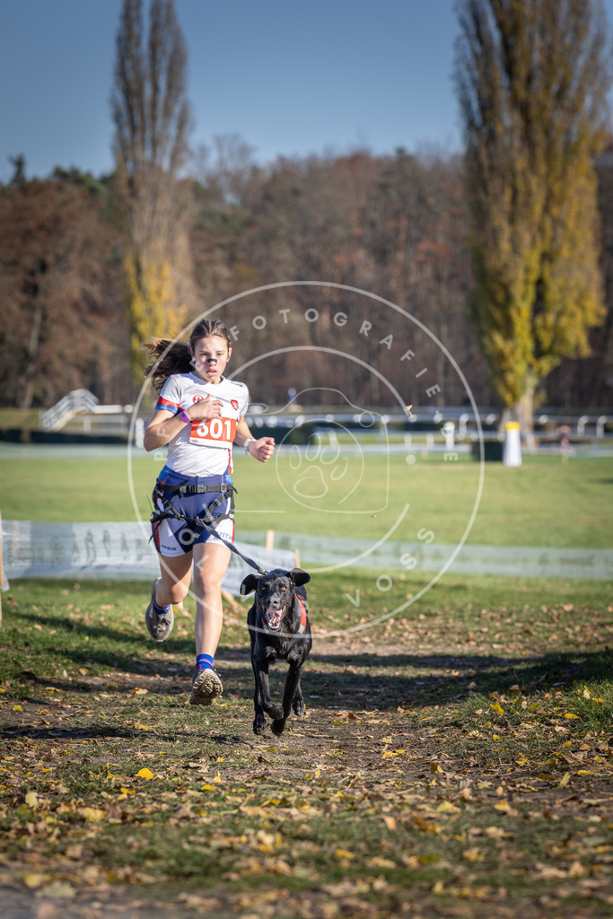 CaniXpix_DV3A9489 | Hundefotografie, Tierfotograf, Pfotenfotografie, Fotoshooting Hund, Hunde Portrait, Hundesport, Hundeportraits, Heideshooting, Hunde, Sportfotograf, Hundefotograf, Turnierhundsport, THS,  - Realisiert mit Pictrs.com