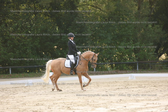 HG9A7222 | laurarinckfotografie - Realisiert mit Pictrs.com