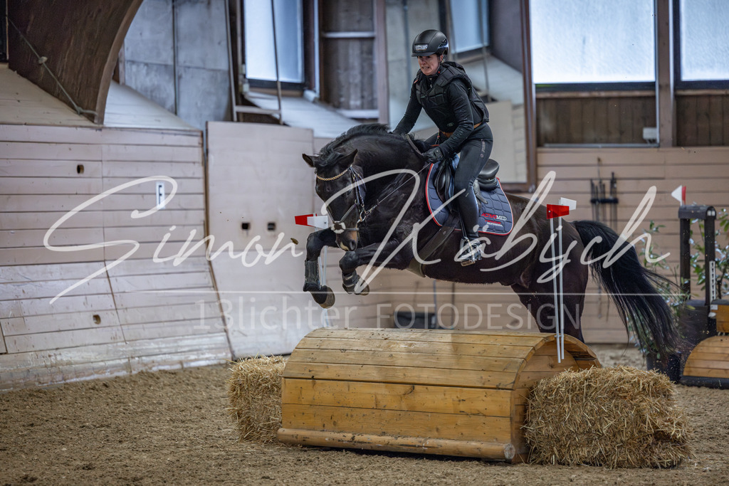 20260221-_3LI8830 | Tierfotografie Pferde, Hunde, Katzen, Haustiere.
Turnierfotografie Reitturniere, Reiten, Springreiten, Dressur in Hanau, dem Main-Kinzig-Kreis und dem Rhein-Main- Gebiet um Frankfurt