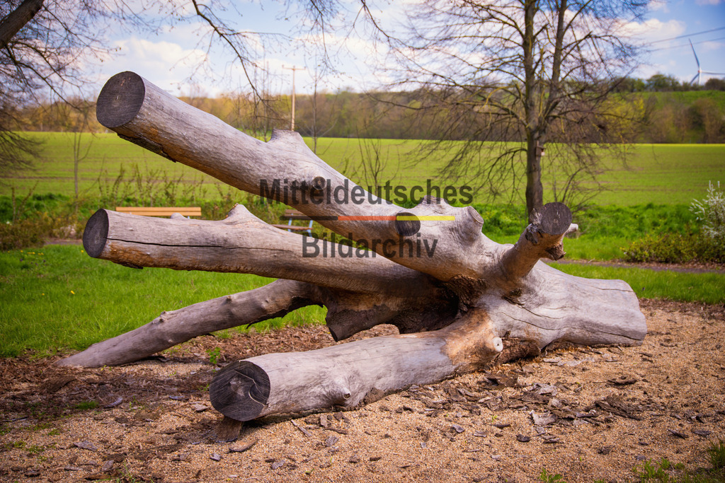 Mammendorf Wall _ Dorf-2637 | Park Eichenbarleben - Realisiert mit Pictrs.com