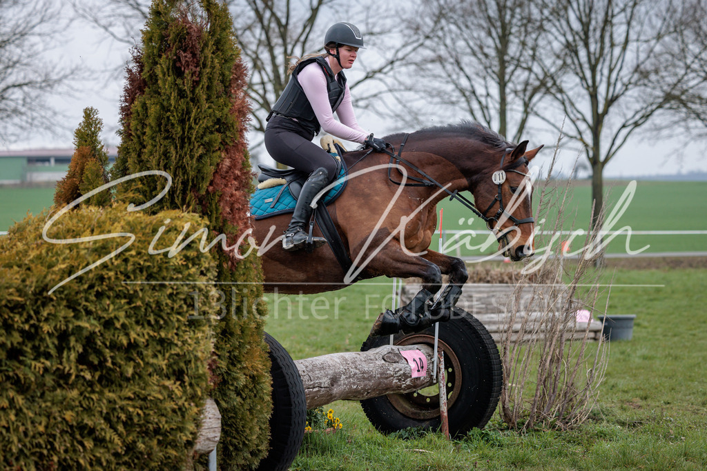 20260329-_3LI3985 | Tierfotografie Pferde, Hunde, Katzen, Haustiere.
Turnierfotografie Reitturniere, Reiten, Springreiten, Dressur in Hanau, dem Main-Kinzig-Kreis und dem Rhein-Main- Gebiet um Frankfurt