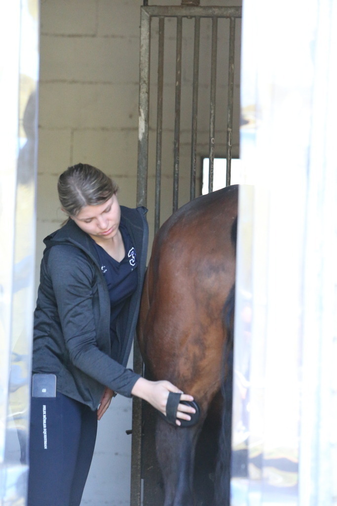 DL2Q3098 | Willkommen bei Brunnmayr - Design & Fotografie – Ihrem Spezialisten für Reitturniere und Pferdeveranstaltungen in Oberösterreich, Salzburg und Bayern! Seit über 17 Jahren sind wir leidenschaftlich dabei.