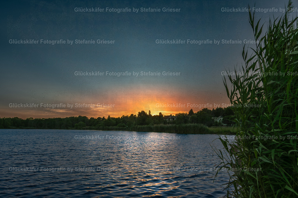 OQ0A9671 Kopie | Glückskäfer - Fotografie - Realisiert mit Pictrs.com