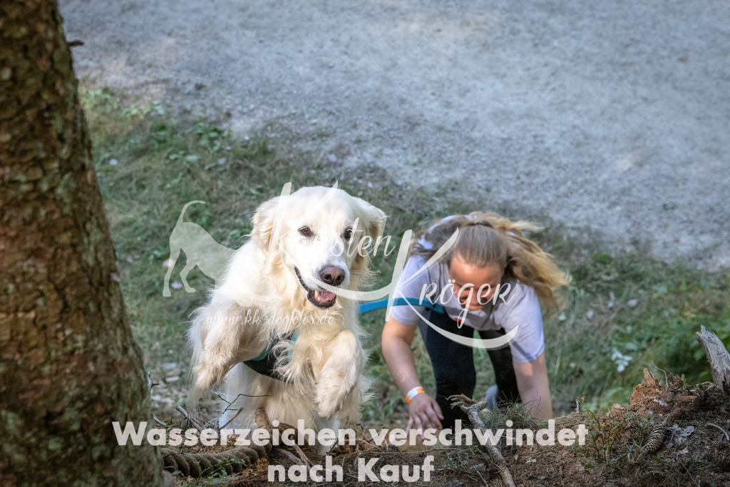 1131_ZZ90734 | kk-dogfotos